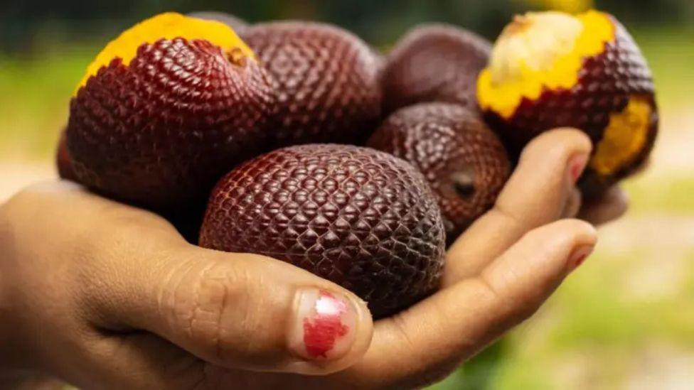Huit jus de fruits qui ne peuvent être dégustés qu'en Amazonie