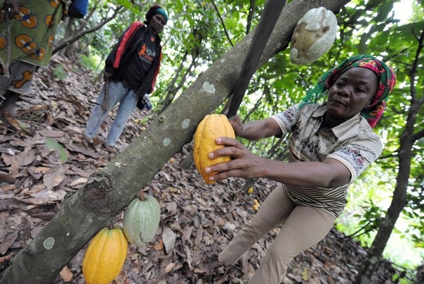 Côte d`Ivoire: un 