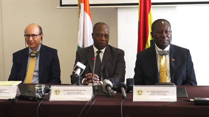 Filière café-cacao: le recensement des planteurs ivoiriens s’achèvera « d’ici fin 2020 » (Conseil)