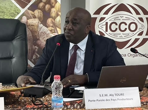 Cacao : Les pays producteurs de l’ICCO annoncent un conclave