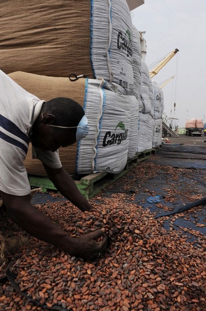 Abengourou / Commercialisation du cacao : Les producteurs, coopératives et organisations agricoles bloquent tout !