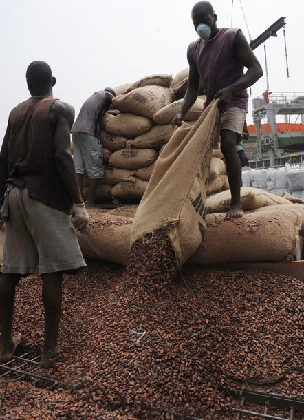 Blocage du cacao dans les campements : Les planteurs invitent l’Etat à la discussion
