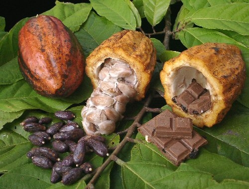 La Côte d’Ivoire institue une Journée nationale du cacao et du chocolat