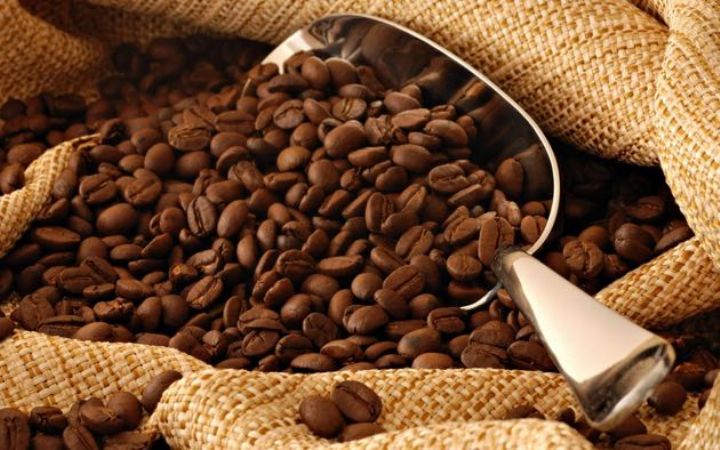 Brésil: la sécheresse affecte la production de café robusta