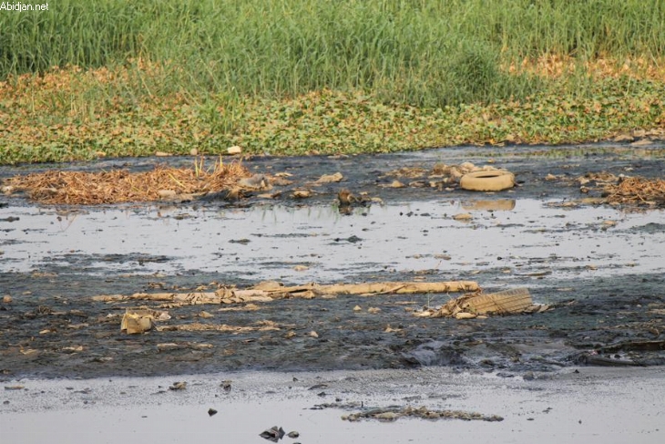 Rapport mensuel de l’Ong bon air : décembre 2011