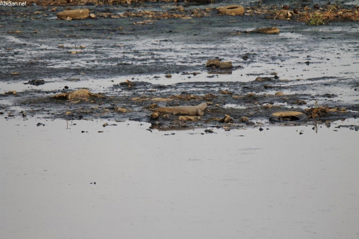 Tout va de travers en Côte d`Ivoire
