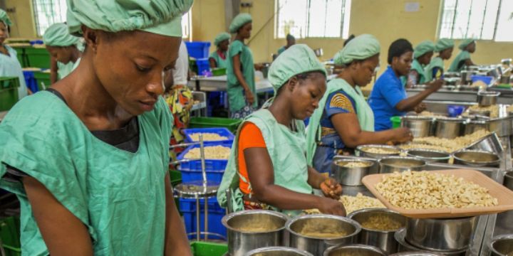 Bolloré Transport & Logistics, acteur de développement de la filière cajou en Côte d’Ivoire