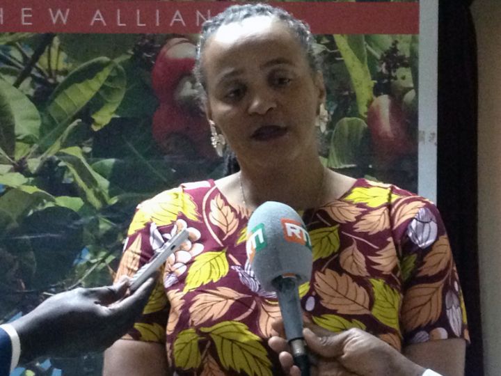 La 11ème édition de la Conférence annuelle du Cajou Prévue en septembre à Cotonou, lancée à Abidjan
