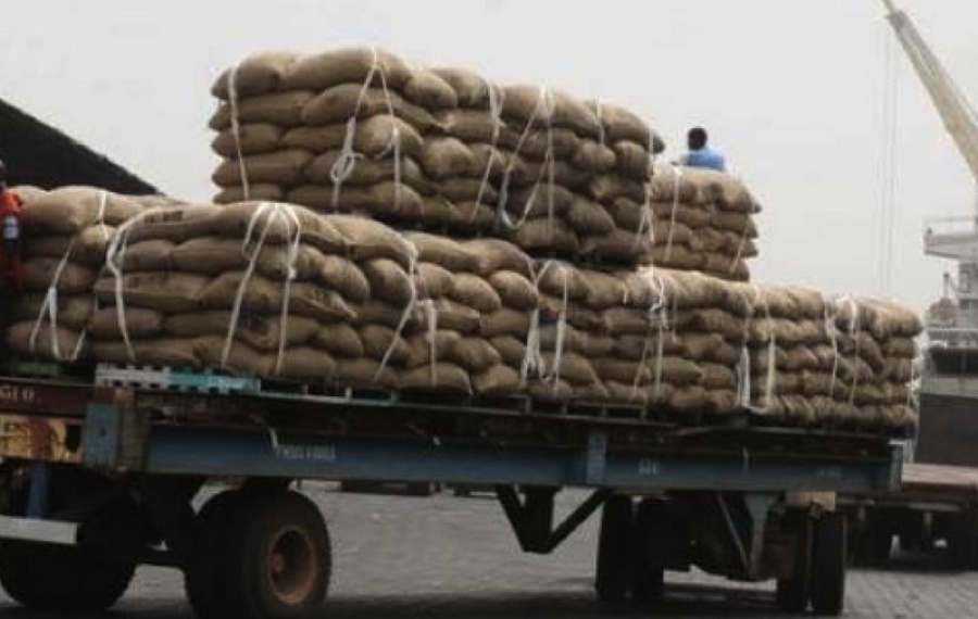 Côte d’Ivoire : Le Conseil du Café-Cacao recense 102 camions dans les zones portuaires, dont 62 sans connaissement