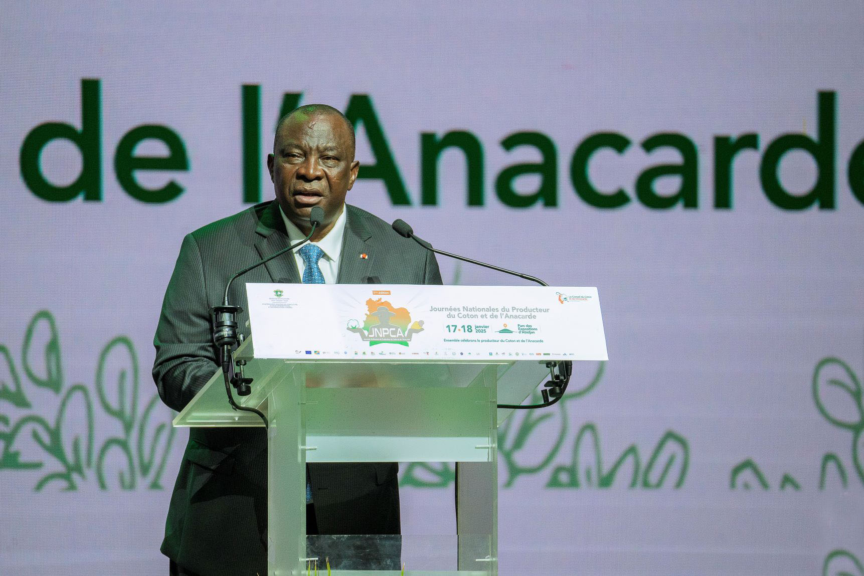 Campagne 2025 : le prix bord champ de la noix de cajou fixé à 425 FCFA/kg contre 275 FCFA/kg en 2024