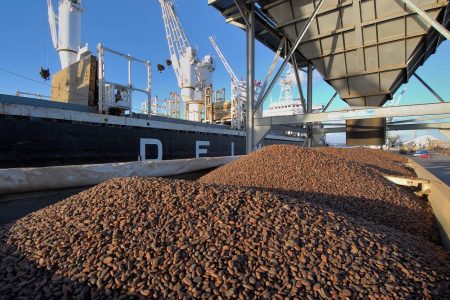Campagne cacao 2025-2026 : 70 % de la production déjà acheminée vers les ports et 2, 8 milliards FCFA distribués aux producteurs (Feature)