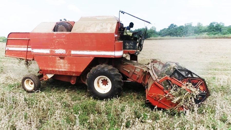 Campagne soja 2022 : le gouvernement conduit une mission d’appui-conseil au profit des producteurs de la région du Bafing