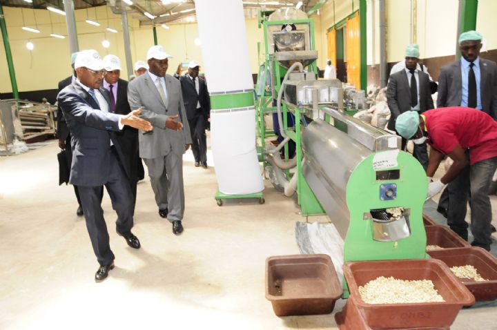 Bouaké : Duncan inaugure une usine de transformation de noix de cajou, un investissement d’1,5 milliard de FCFA