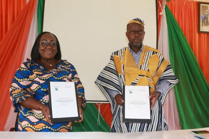 Côte d’Ivoire: 20 000 ha d’une forêt classée dégagés pour l’agroforesterie