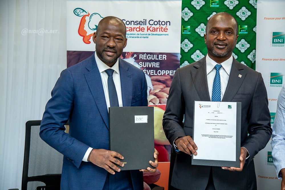 Filière anacarde : la BNI, le Conseil du Coton et de l’Anacarde et les transformateurs nationaux unissent leurs forces pour renforcer la transformation locale