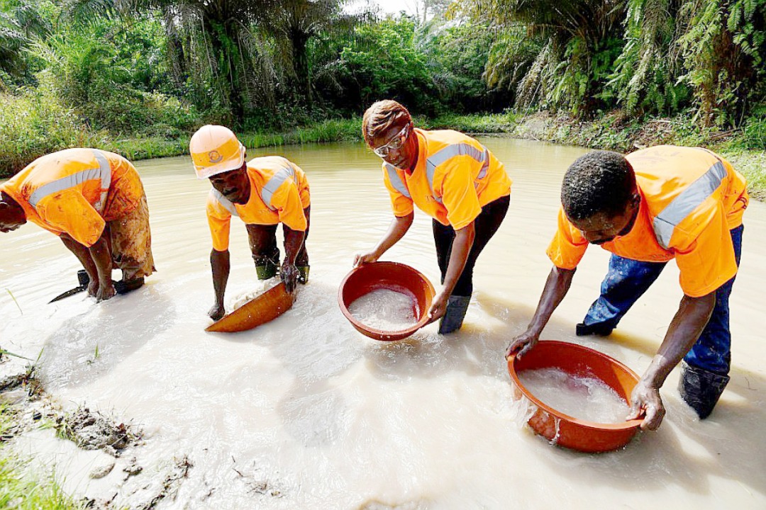 Chantiers-écoles : une réponse concrète et durable au développement de la petite mine
