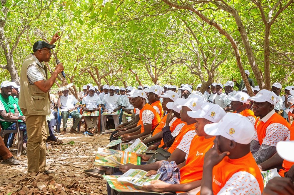 Clôture de sensibilisation à Kouto : La qualité au cœur de la compétitivité de l’anacarde 2026