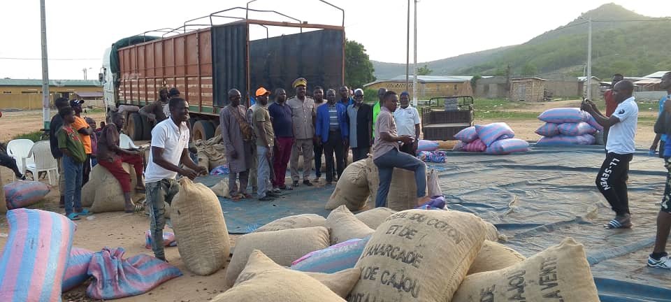 Commercialisation de l'anacarde : La recette gagnante du Sous-préfet de Booko pour soulager les producteurs