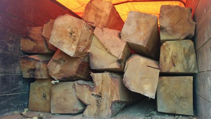 L'OIT initie un atelier pour promouvoir les pratiques d'entreprises durables et responsables dans la foresterie et le bois