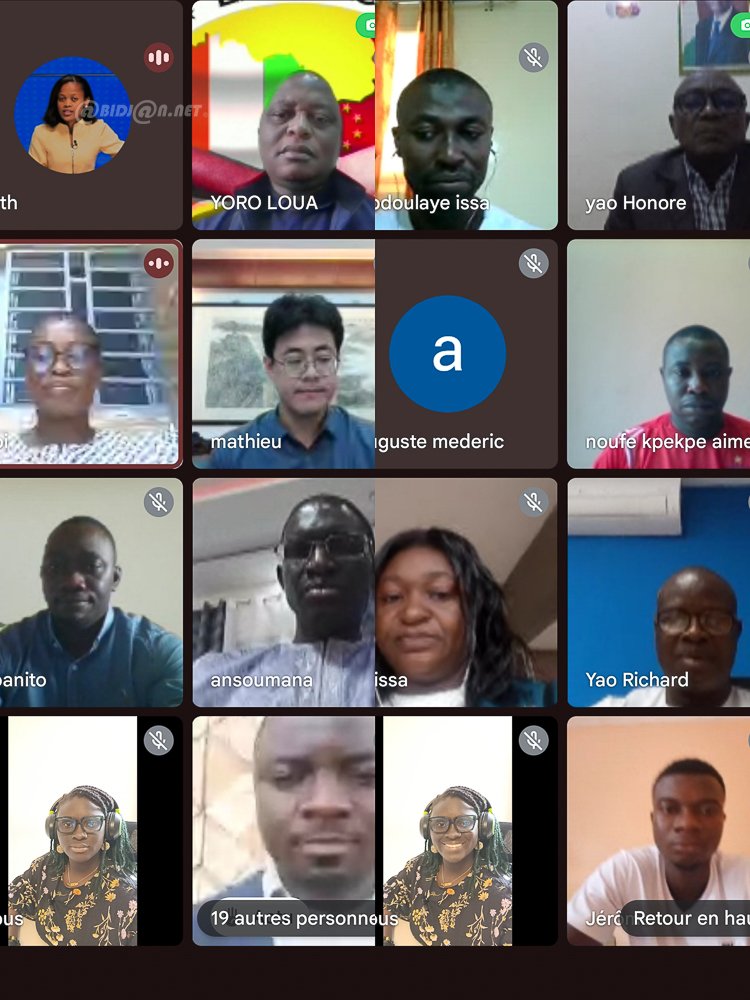 Coopération Sino-Africaine : un webinaire sur les enjeux de l’apprentissage du chinois dans les systèmes éducatifs africains