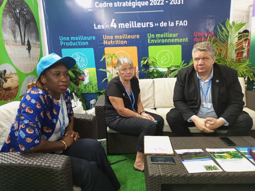 COP 15: la FAO pour un changement des modes de production agricole