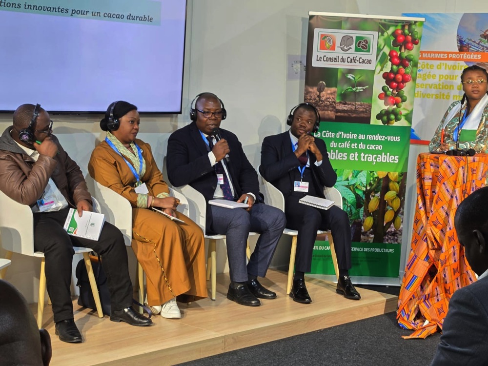 COP-29 : le Conseil du Café-Cacao présente ses solutions pour un cacao durable à Bakou