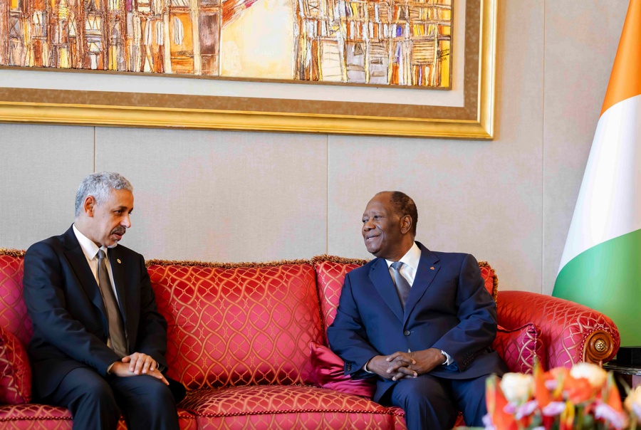 Le Chef de l’État a eu un entretien avec le Président de la BAD