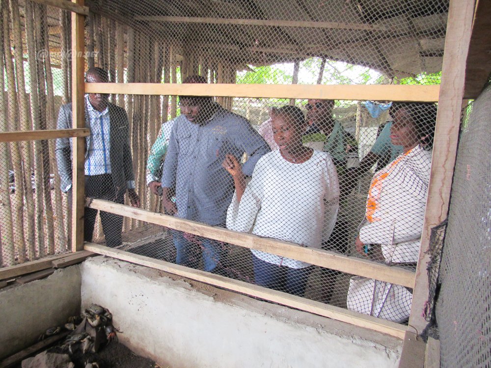 Côte d'Ivoire/ Autonomisation des femmes : lancement d'un projet de production de crabe poilu