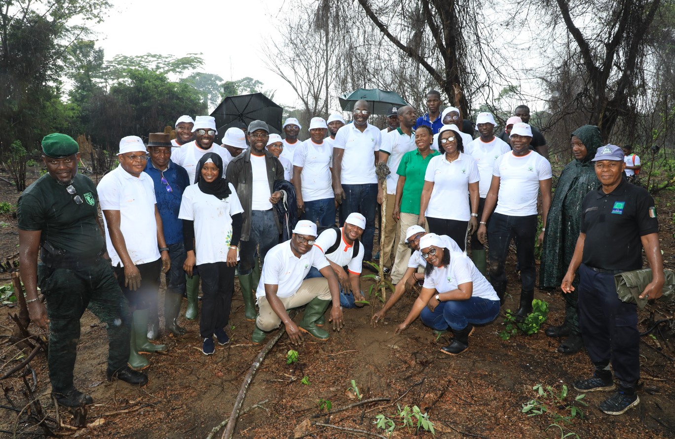 Côte d'Ivoire : Banque Atlantique reboise 5 hectares en partenariat avec l’INAD-CI à Jacqueville