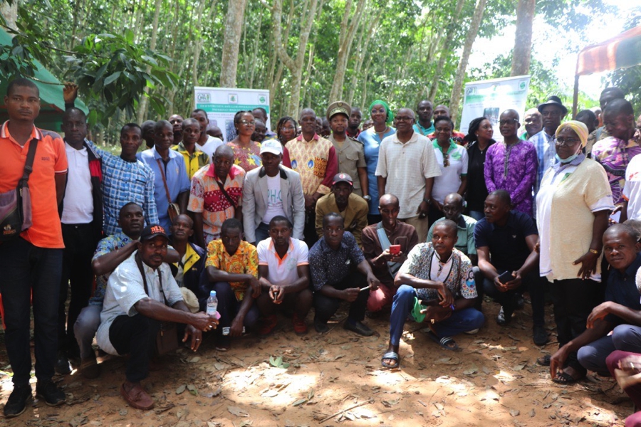 Côte d'Ivoire : des heveaculteurs sensibilisés à cultiver l'hévéa dans l'ancienne boucle de cacao