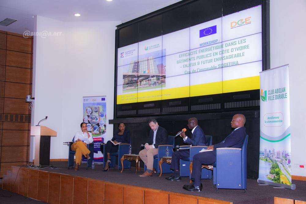Côte d'Ivoire :  l'Économie énergétique au centre d'un atelier à Abidjan