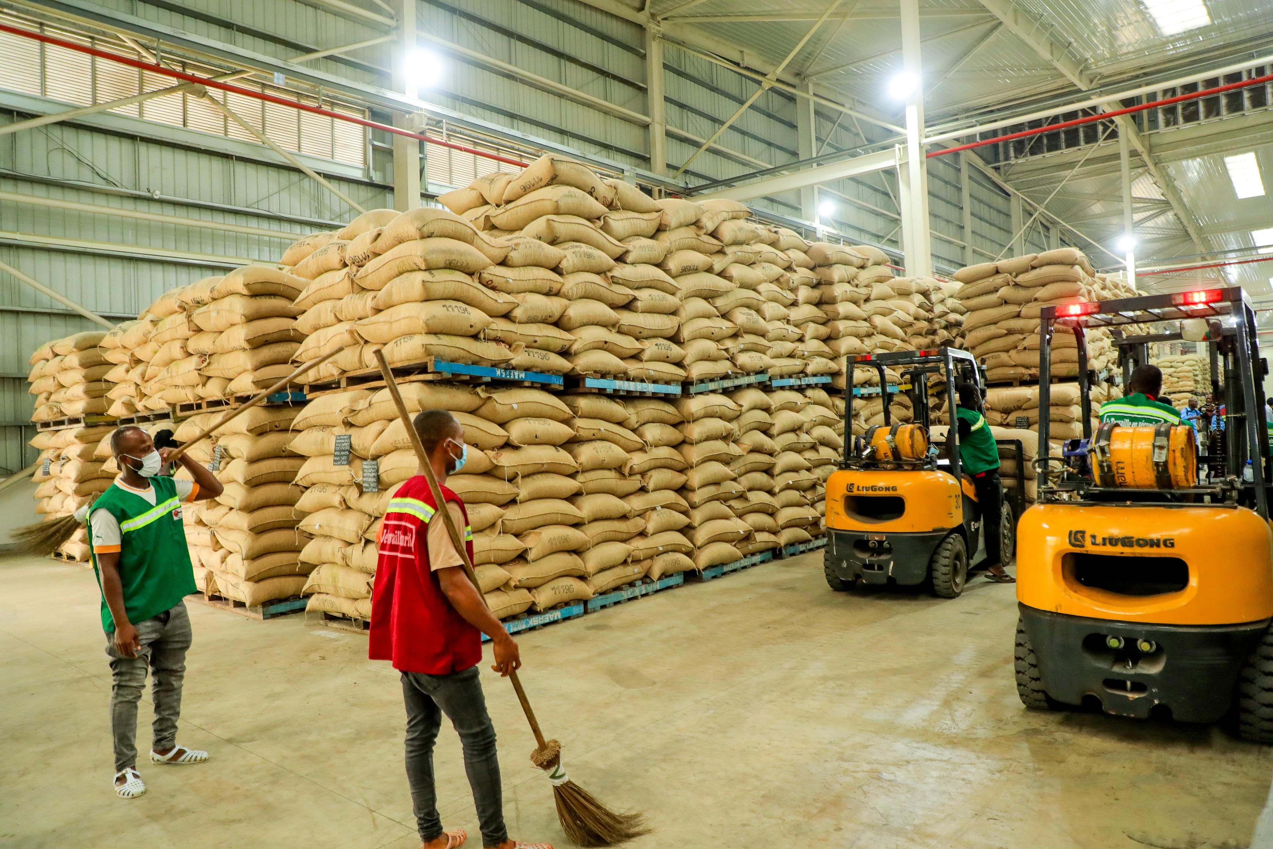 Côte d'Ivoire: l'Etat a commencé l'achat des stocks de cacao pour résoudre la crise
