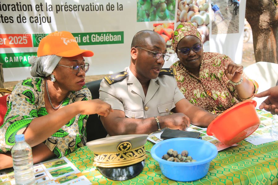 Côte d'Ivoire:  le Conseil du Coton et de l’Anacarde sensibilise des acteurs de la filière sur la bonne qualité de la noix de cajou à Madinani