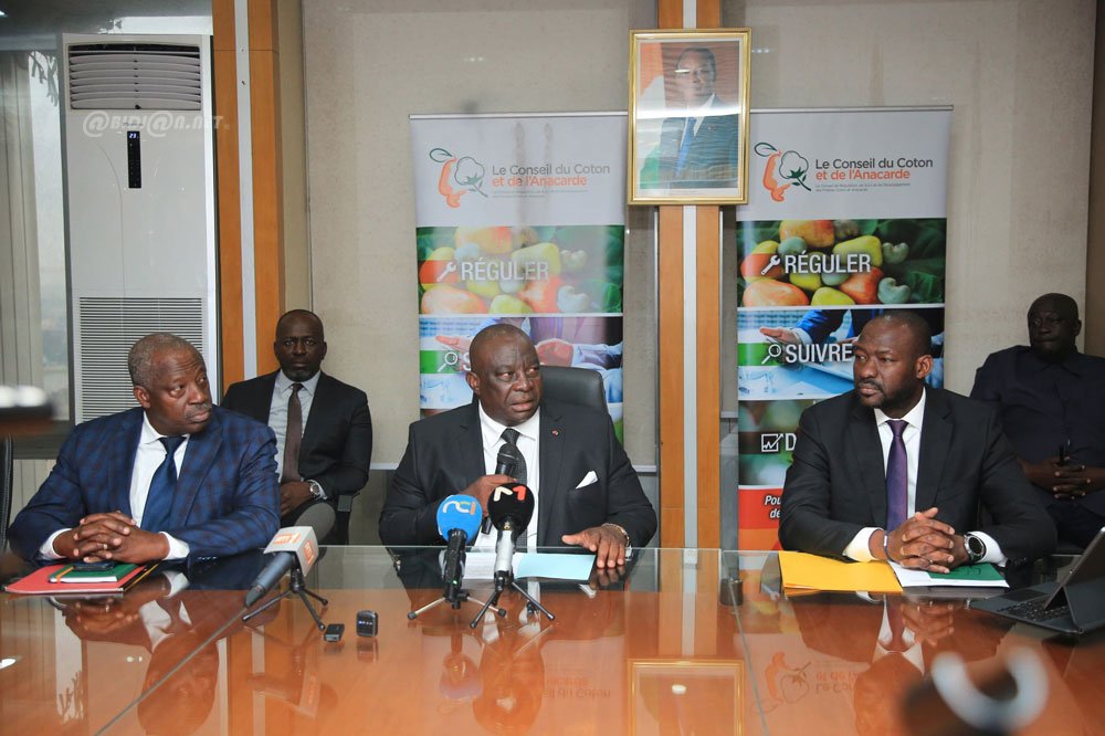 Côte d'Ivoire: le gouvernement annonce les nouveaux prix du coton graine