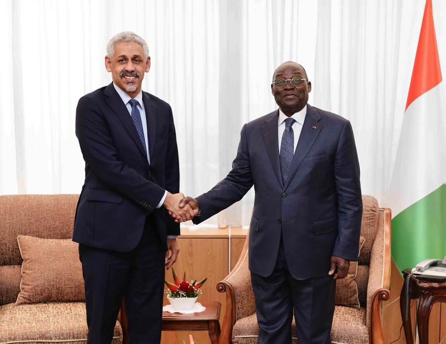  Le Vice-Président de la République a échangé avec le Président de la Banque Africaine de Développement