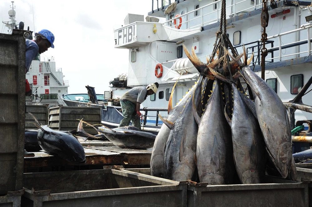 Côte d’Ivoire : fin du repos biologique pour la pêche industrielle maritime et début de celui de la pêche artisanale continentale  ce 1er septembre (Officiel)
