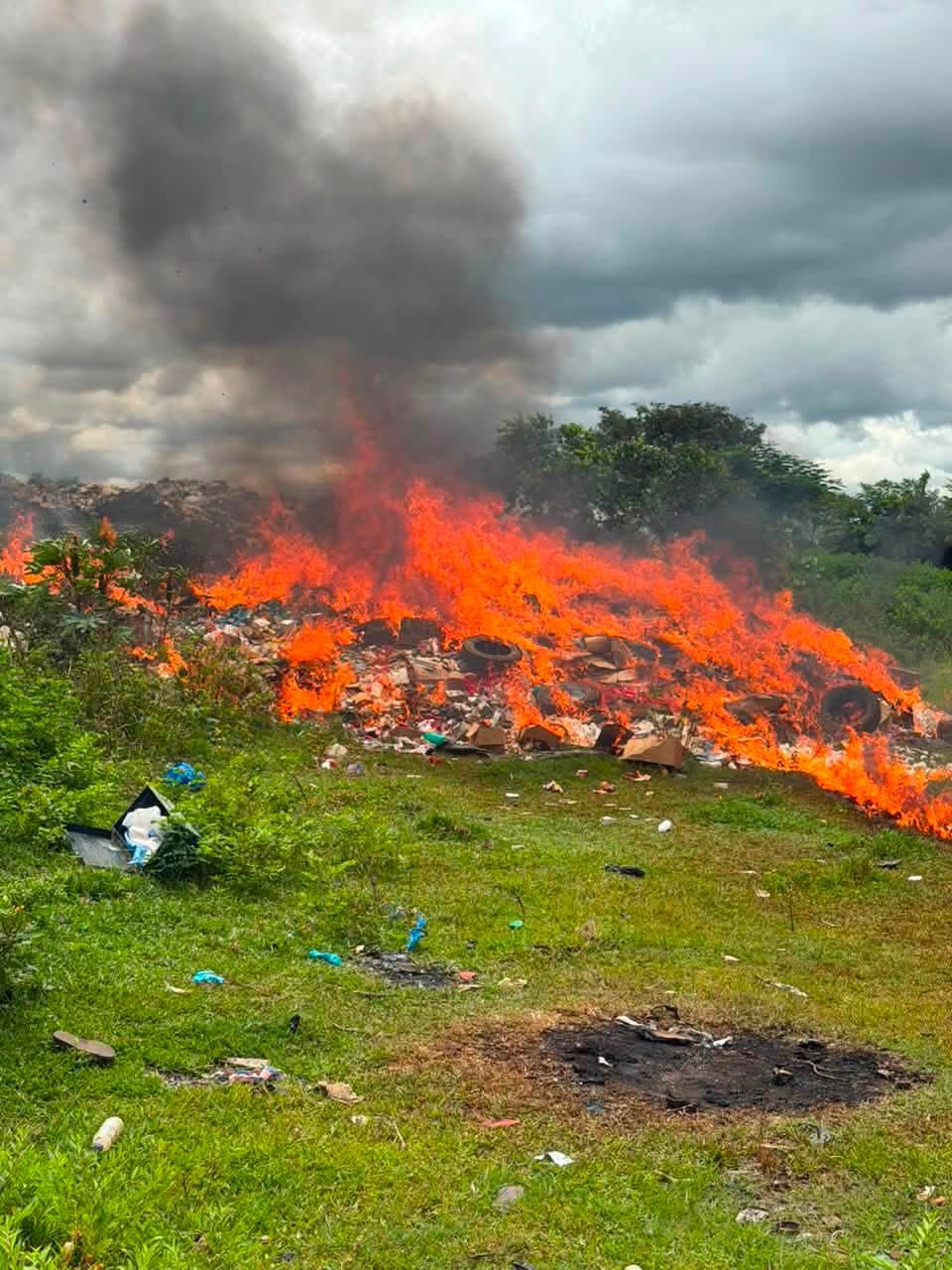 Côte d'Ivoire : plus de 30 tonnes de produits prohibés incinérées à Korhogo