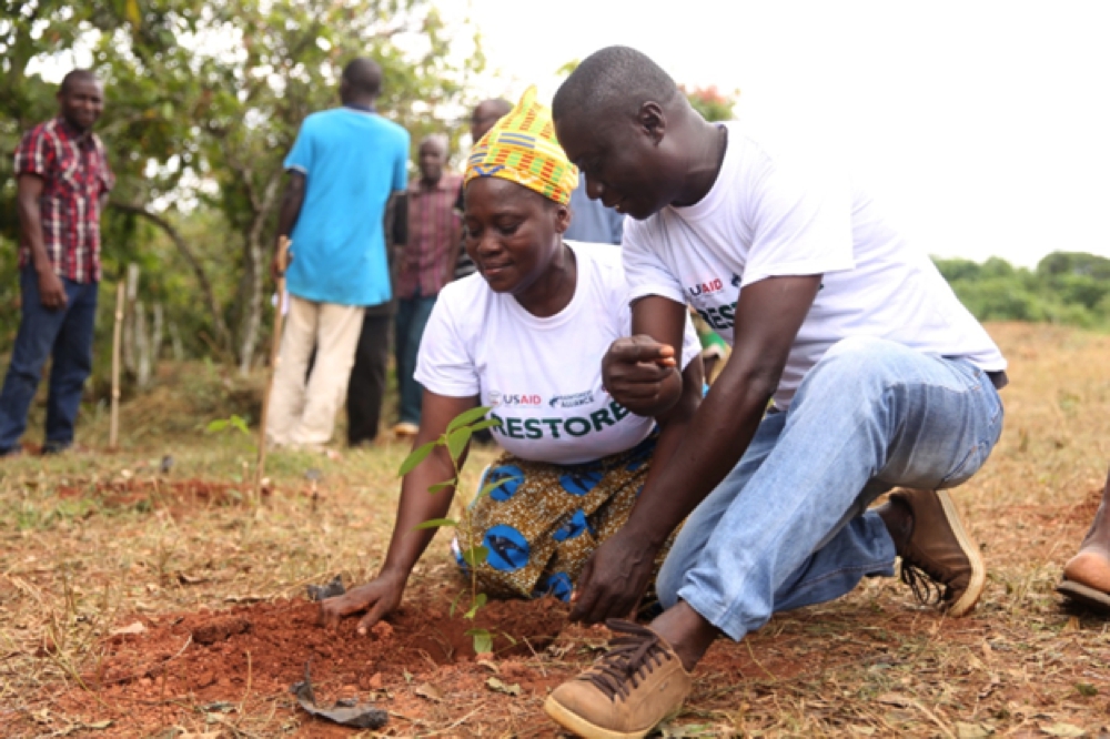Côte d'Ivoire : une approche collaborative pour restaurer les terres et forêts dégradées initiée