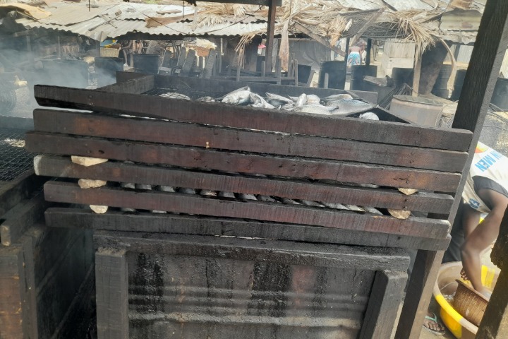 Côte d’Ivoire. Avec les fumeuses de poisson. Les femmes d’Abobo Doumé boudent le nouveau site et ses fours modernes [Reportage 2/2]