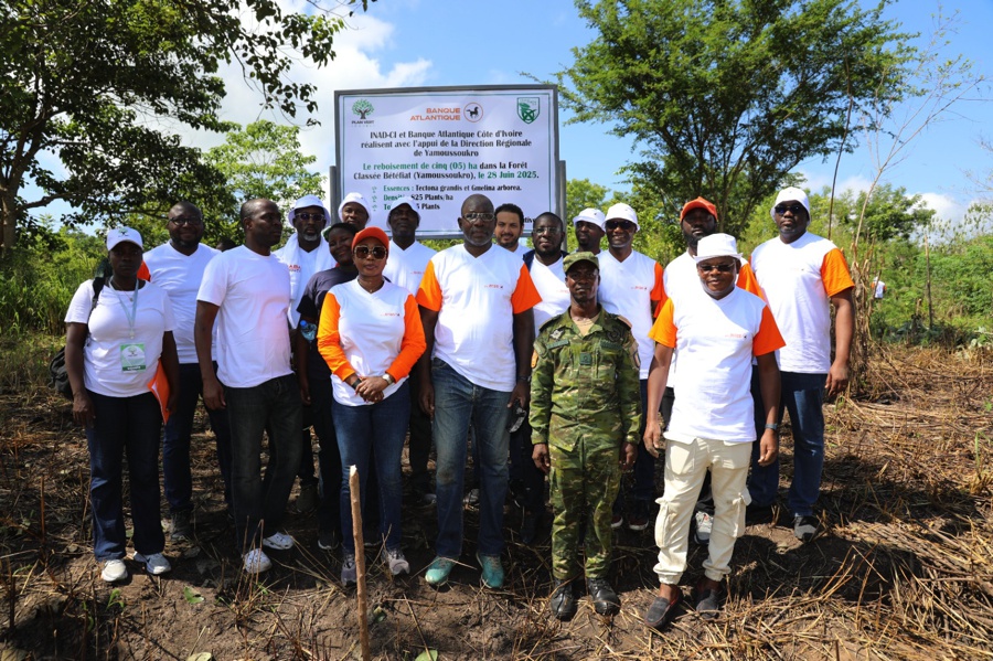Côte d’ivoire : Banque atlantique et L’INAD-CI poursuivent la mise en œuvre du programme « plan vert » pour la préservation des forêts