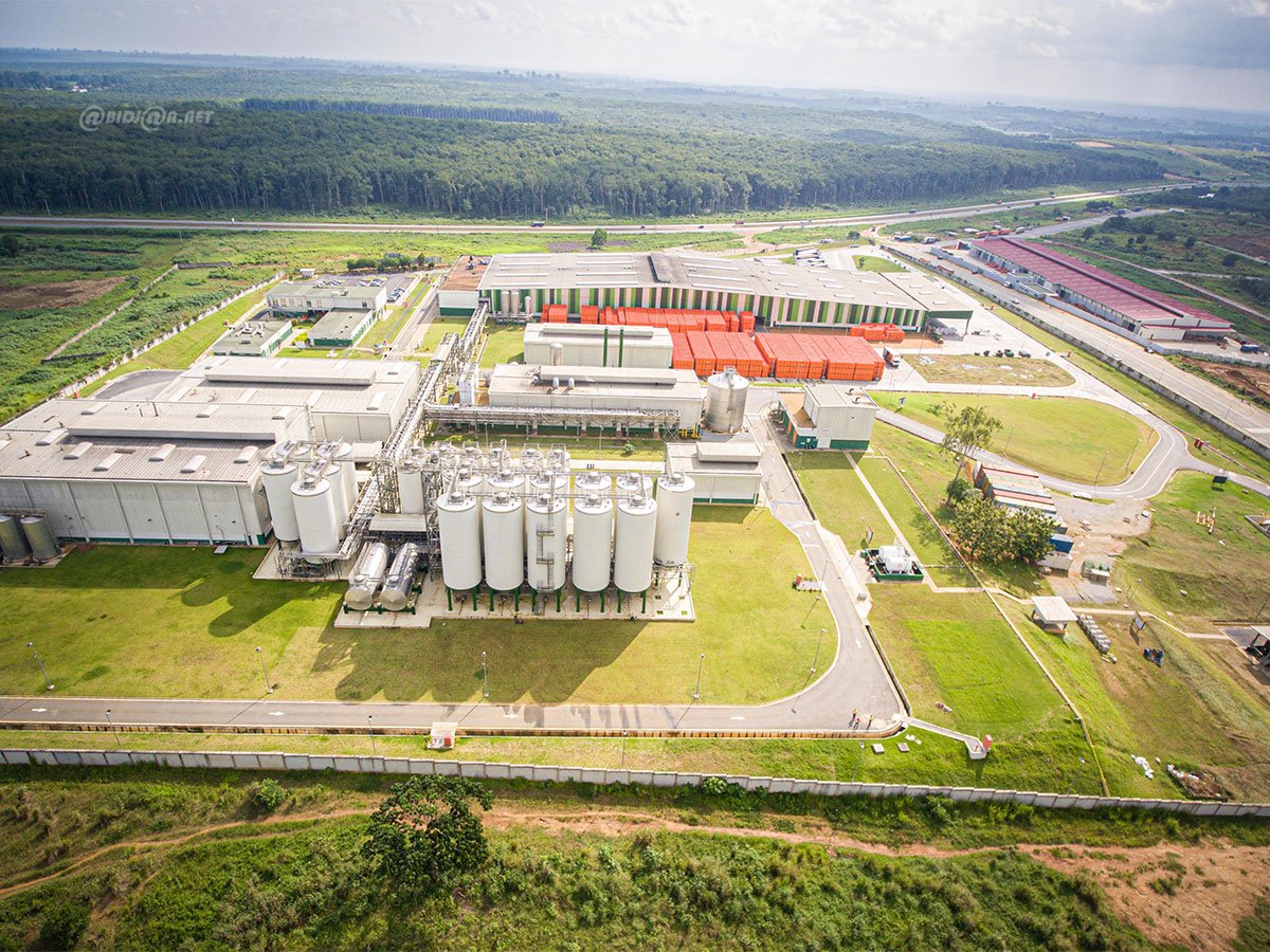 Côte d’Ivoire : des journalistes découvrent les secrets du brassage de la bière Heineken