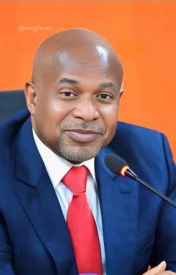 Côte d’Ivoire : Jean-Christian Turkson nommé nouveau Directeur Général de la CIE