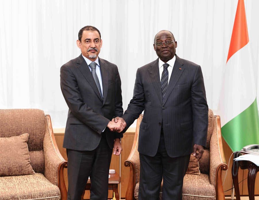 Le Vice-Président de la République a échangé avec la Directrice Afrique du PNUD et le Directeur Afrique du FMI