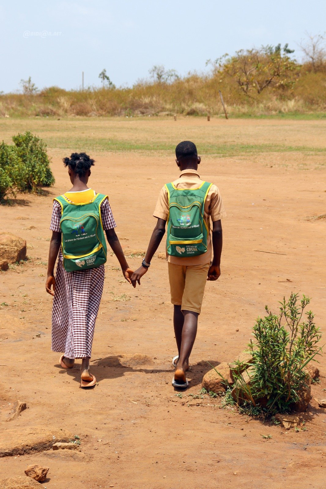  Côte d’Ivoire : les projets novateurs menés par la fondation ICI ont un impact positif sur les familles productrices de cacao (Rapport)