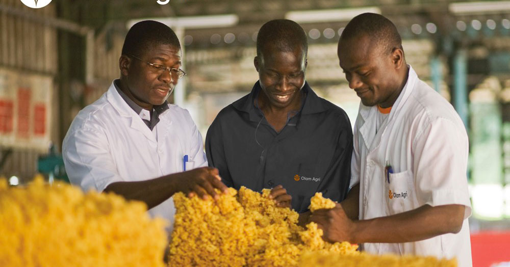 Côte d’Ivoire : Olam Agri certifiée Top Employer 2024 pour la 4ème année consécutive, et Top Employer Africa 2024