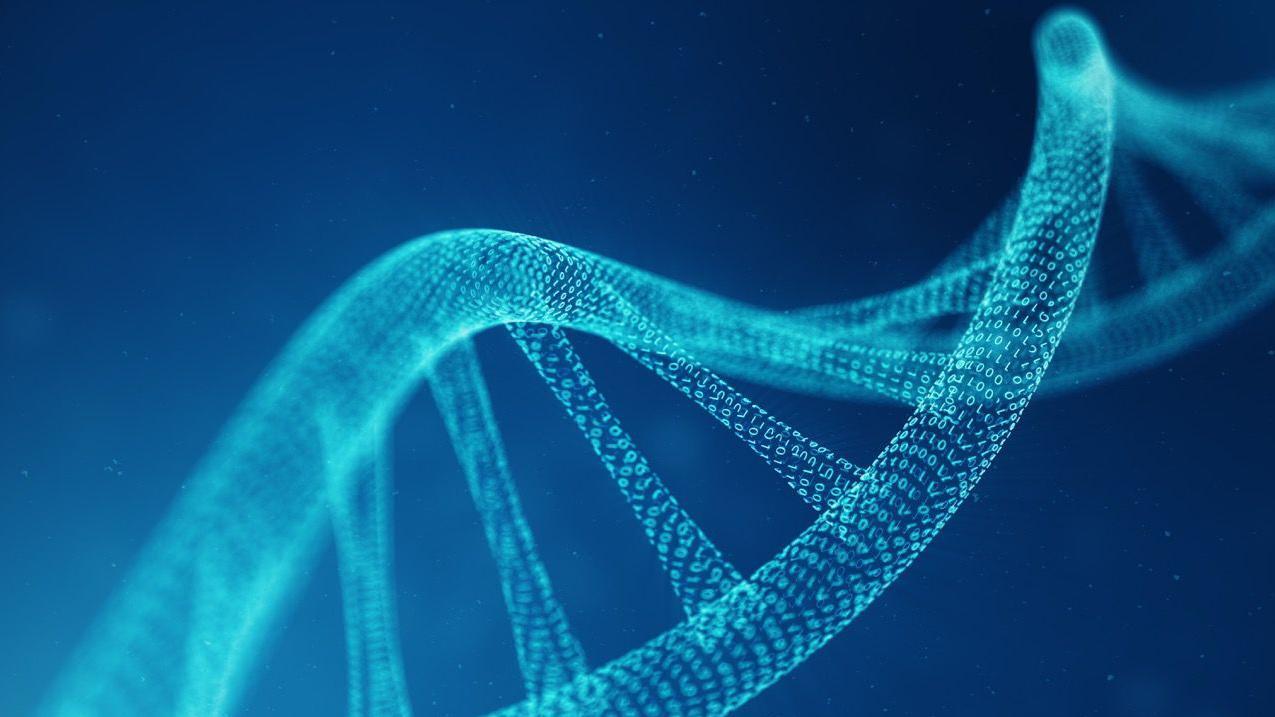 Lancement d'un projet controversé de création d'ADN humain artificiel