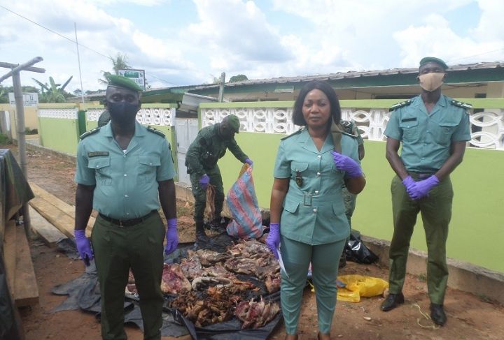 De la viande boucanée saisie par les Eaux et forêts à Azaguié