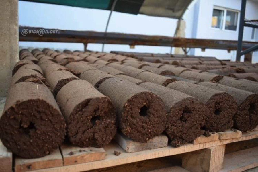 De la pulpe aux flammes : Yassine Khelifi révolutionne la gestion des résidus de l'huile d'olive