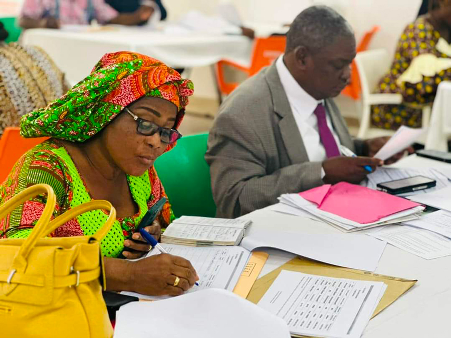 Déclaration de patrimoine : Une mission de la HABG séjourne dans la région des Grands Ponts