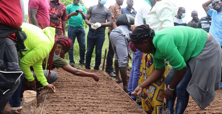 Des agents ANADER formés pour assister des femmes dans la création de cultures vivrières et maraîchères associées aux vergers